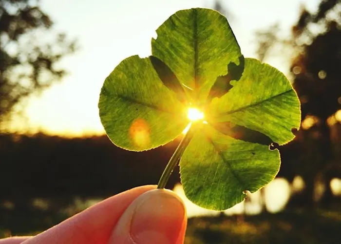 Frisch Renovierte Abendrot Fuer 2 Personen, Zentral Gelegen דירה